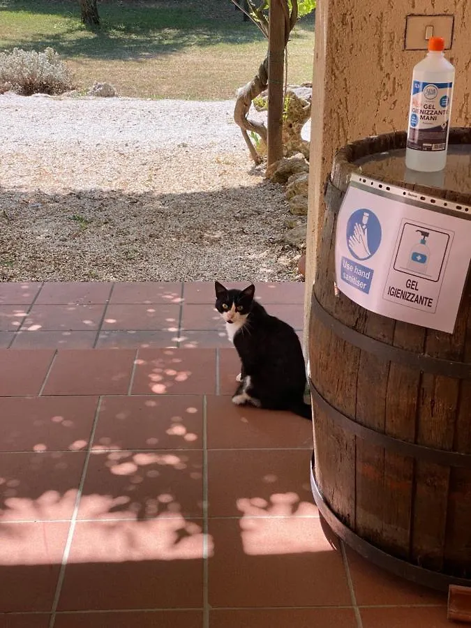 B&B 8380 - Pian Del Molino Saturnia Bed & Breakfast